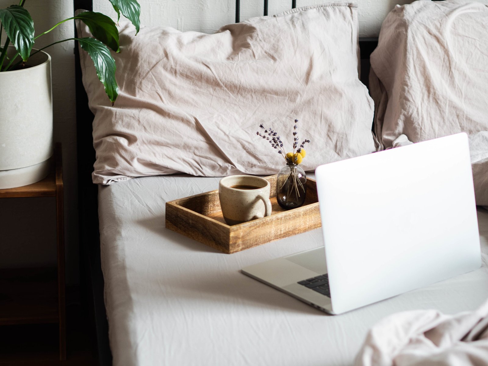 Commentaire Airbnb et avis voyageurs - visuel 7